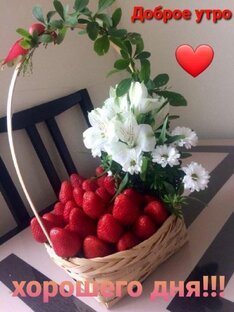 Вкусно готовим дома