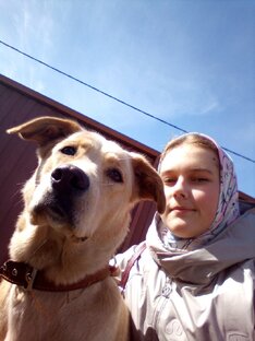 Истории моей собаки Грэйс