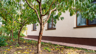 Сад и огород в Крыму