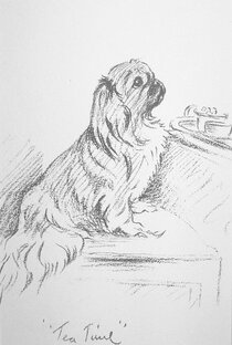 Душа на изнанку((