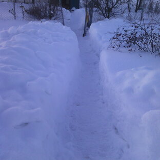 Лютый февраль