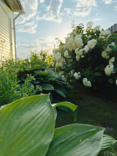 Здоровья 🤗