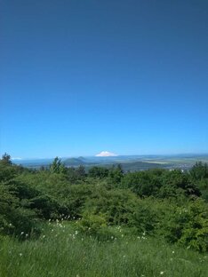 Природа всегда рядом!