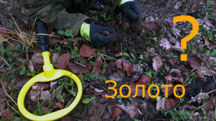 Поиск клада