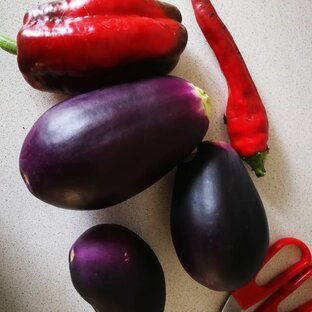 Полезные для похудения летние продукты 
