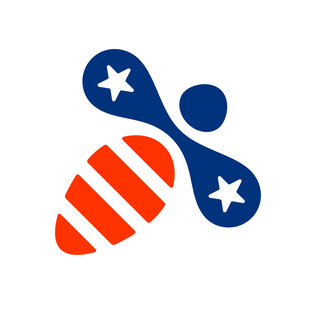 Статистика Дзен StudyAmerica