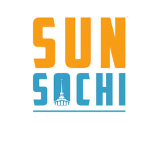 Статистика Дзен SUNSOCHI - Недвижимость Сочи