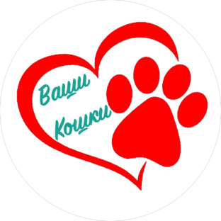 Дзен Ваши кошки статистика