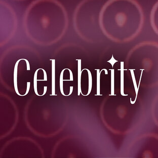 Дзен celebrity.moscow статистика