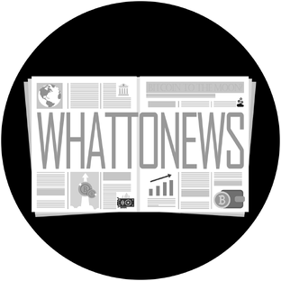 Статистика Дзен WHATTONEWS