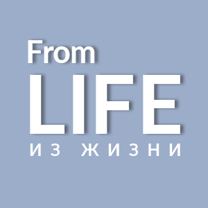 Дзен Из Жизни - для женщин и мужчин статистика