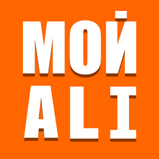 Дзен Мой ALI статистика