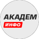 Статистика Дзен Академ.Инфо