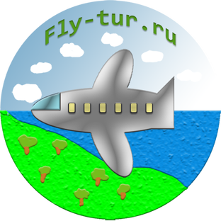 Дзен Fly-tur статистика