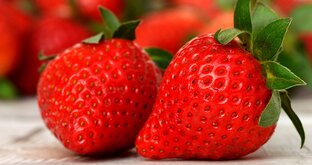 Дзен Мой вкусный дневник статистика