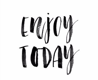 Дзен enjoy today статистика