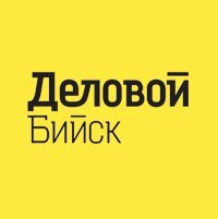 Статистика Дзен Деловой Бийск