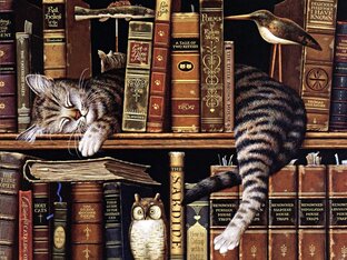 Дзен Создатели книги статистика