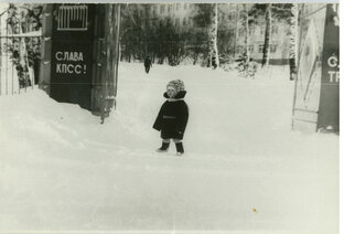 Дзен Сельские записки статистика