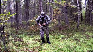 Дзен ЖИЗНЬ ЛЕСА статистика