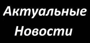 Дзен Актуальные новости статистика