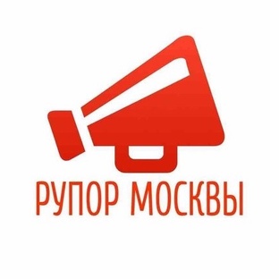 Статистика Дзен Рупор Москвы