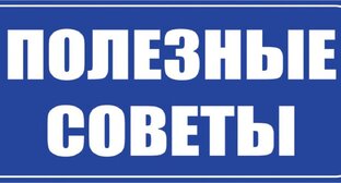 Дзен Советчик статистика