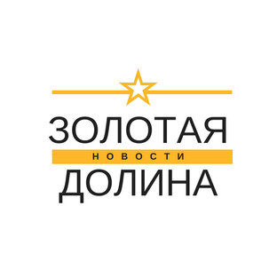 Яндекс дзен ЗОЛОТАЯ ДОЛИНА статистика