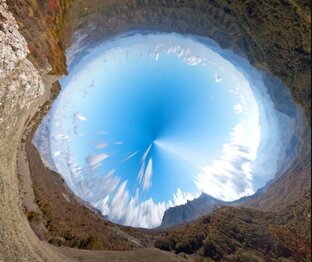 Дзен отсюда поподробней статистика