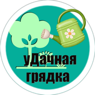 Дзен уДачная грядка статистика