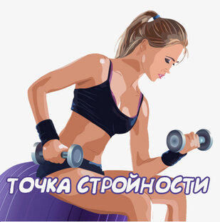Дзен Точка Стройности статистика
