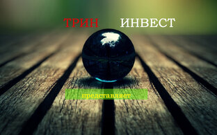 Статистика Дзен Trin Invest