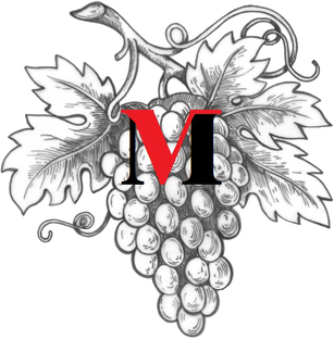 Дзен Виноград VM статистика