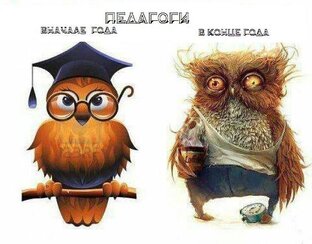 Дзен Я - Мама, Учитель, Жена. статистика