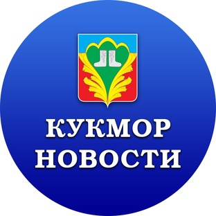 Статистика Дзен Кукмор Татарстан