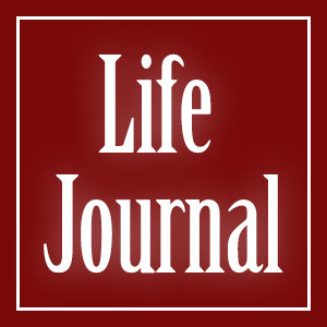 Дзен Life Journal статистика