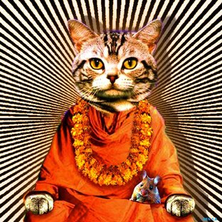 Дзен Виталюня статистика