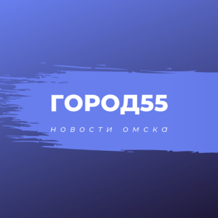 Дзен gorod55.ru статистика