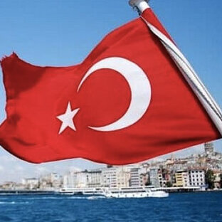 Яндекс дзен Про жизнь в Турции статистика