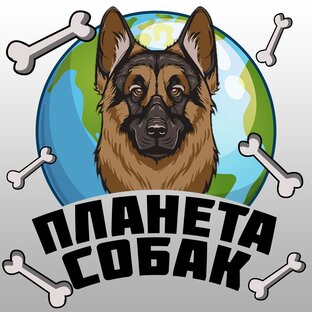 Яндекс дзен Планета собак статистика