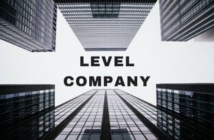 холдинговая корпорация png. левел строительная компания. One level. Level фирма. левел компани игра.