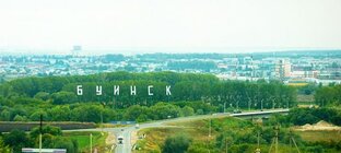 Дзен Новости Буинска статистика