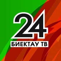 Статистика Дзен Биектау ТВ
