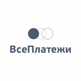 Дзен ВсеПлатежи статистика