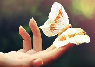 Дзен Потрачено статистика