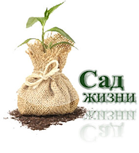 Дзен Сад Жизни статистика