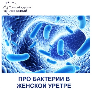 Дзен dff статистика