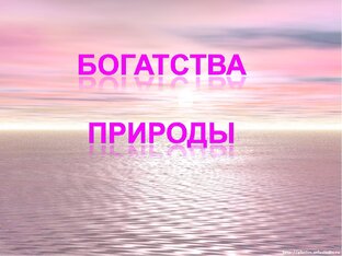 Дзен Богатства Природы статистика