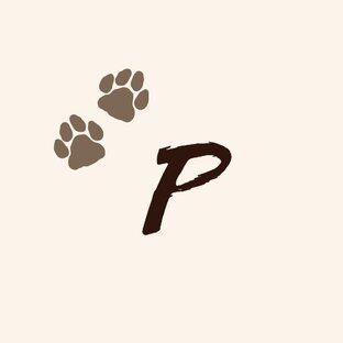 Дзен Разговоры о животных статистика