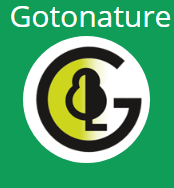 Двигай на природу